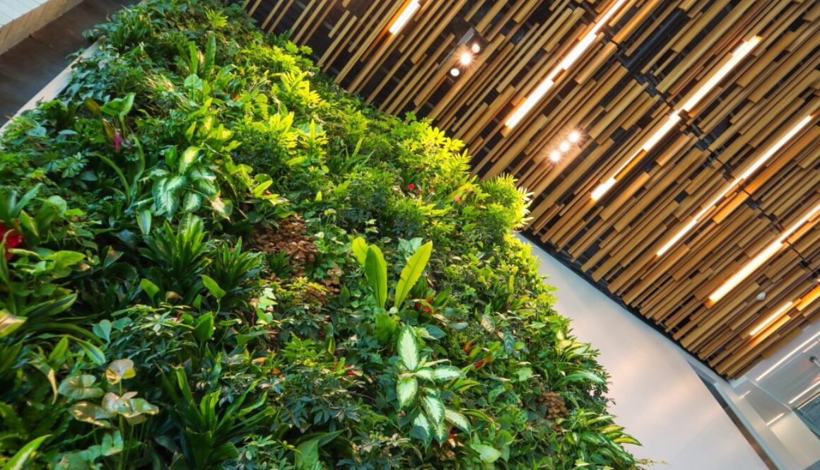 elifin-realty-uO81ltBs3vQ-unsplash