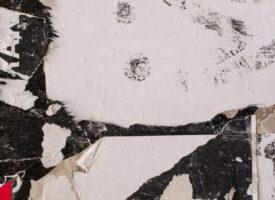 rich-rhubbardstockfootage-c85CSOs3izM-unsplash