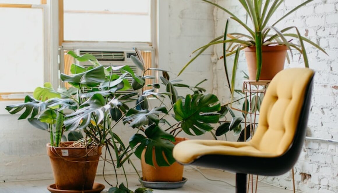 ron-mcclenny-9yI8eQ9mdvY-unsplash